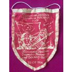 Вымпел Досааф Эстонской ССР