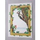 1956  ИЗОГИЗ СССР Дудников загадка Ни, дровосек ни плотник,а первый в лесу работник