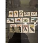 Лот чистых марок СССР 1965 год 2