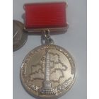 Значок " Участник Парада "