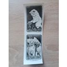 Закладка для книг 1990-е.Кооператив Зенит