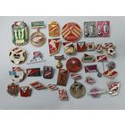 Набор значков 34 штуки. Спортивное общество "Спартак"