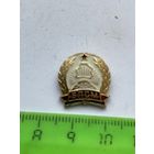 Значок бпсм