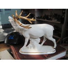 Олень, Германия.