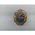 Значок (тяжёлый)