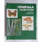 Природа Белоруссии. Популярная энциклопедия