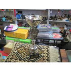 Кубок за 3 место в картинге.