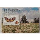 Блок Голубянка торфяниковая