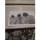 Акупация Бреста1939г. RRR