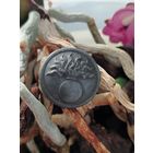 Пуговица историческая, франция, не копаная