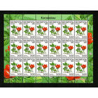 Беларусь. 2004. Стандарт. Костяника 300р. Лист 6х3