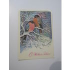 С Новым годом!худ. Манилова 1979 снегири