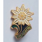 Брошь СССР,  ретро значок,  металл, 2 см на 1,2 см