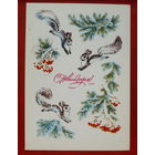 С новым годом! Подписанная. 1983 года. Соколова. 693.