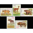 Фауна Беларусь 1996 год (125-129) серия из 5 марок