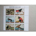 Манама.  Фауна. Международная выставка марок "PHILATOKYO '71" - Токио, Япония.