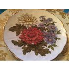 Тарелка коллекционная Хризантема Ноябрь Цветы Англия ( Royal Albert, Royal Doulton и др)