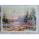 Сидоров. Тяга вальдшнепов