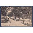 Минск. Аллея любви в Губернаторском саду, издание А.И. Фиалко