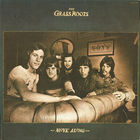The Grass Roots – Move Along, LP 1972