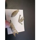 Старые зверушки