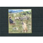 Казахстан. Сторожевые собаки. Блок