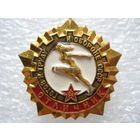 ГТО, отличник.