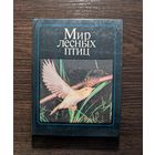 Мир лесных птиц | Фотоальбом | Птицы | Штейнбах