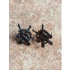 Петлица Польша