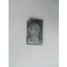 ЗНАЧОК Н.А.НЕКРАСОВ