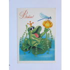 Ширяева  Витаю  1990  10х15  см