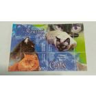 Блок кошки 2004 беларусь