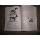 Справочник Охотника Минск 1979 г.С рубля.