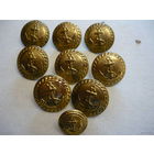 Пуговицы морские