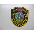 Шеврон 14 отдельный полк правительственной связи КГБ Беларусь