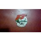 Значок Вьетнамской армии (оригинал)