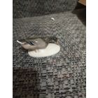 Статуэтка утка розенталь rosenthal германия