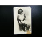 Открыта из СССР 50е годы