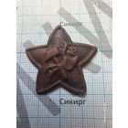 Звезда РККА обр. 1918 г.