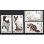 Молдова 2007. Фауна. Кошки 4 марки(289)