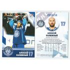 Алексей Калюжный / "Динамо" Минск/ Коллекция "SeReal Карточки ХК "Динамо" Минск 2008-2018".