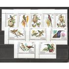 ФФ1 Руанда 1983 Птицы