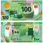 Мавритания  100 угий 2020 год UNC (полимер)