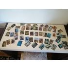 Наклейки Panini Wildanimals 55 штук лотом