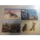 Календарики одним лотом.