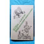 Малыш и Карлсон. Приключения Чиполлино