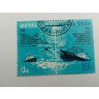 1986 СССР. Антарктический дрейф "Михаила Сомова".