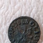 Боратинка 1668 не частая