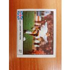 Вкладыш от жвачки Cin Cin Чин Чин Футбол 27 (перепутан флаг). Состояние отличное. Доставка бесплатно.