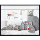 2009_Кошка "Русская голубая".